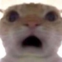 woahh Discord emoji