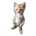 standcat