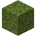 THEMOSS