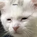 Car_eepy