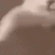 catkiss_0_1
