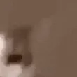 catkiss_1_0
