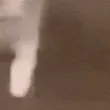 catkiss_1_1