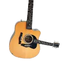 2NeckGuitar
