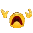 NOOOOO