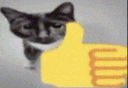cb_cat_yes Discord emoji