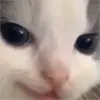 z_beingevil