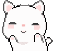CS_cutecat_dance