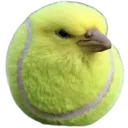 ballird