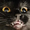 freakyboop