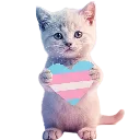 Kitten_Holding_A_Trans_Heart