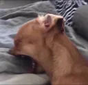 aaaaaah
