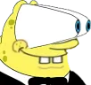 spongedamn