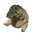 Greg
