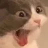 emoji_15