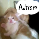 autism