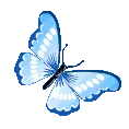 blue_butterfly