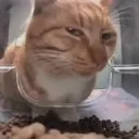 suspicious