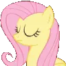 flutterno