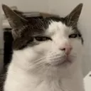 side_eye side_eye
