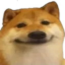 cheems
