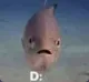 A_Fish_Shocked