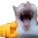 catlaugh