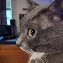 side_eye2 side_eye2
