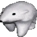z_polarbearwalk