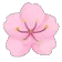 ekd_flowerpink