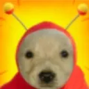 perrito_chapulin