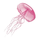 8_jellyfish