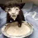 soup
