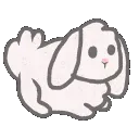 z_casper_white_bunny