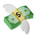 Cash_Flying