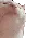 r_catvibe