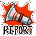 Report