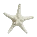 91_starfish