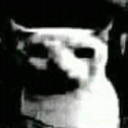 :bruhcat:
