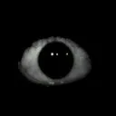 stare