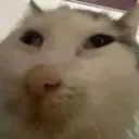 whuhuguh