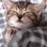 Sleepo