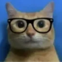 gatonerd