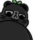 bearStare