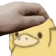 duckpet
