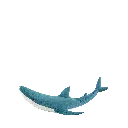 Blahajloop