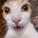 ahui
