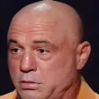 donkeyface
