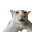 redsGuh
