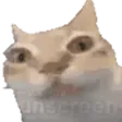 redsErm